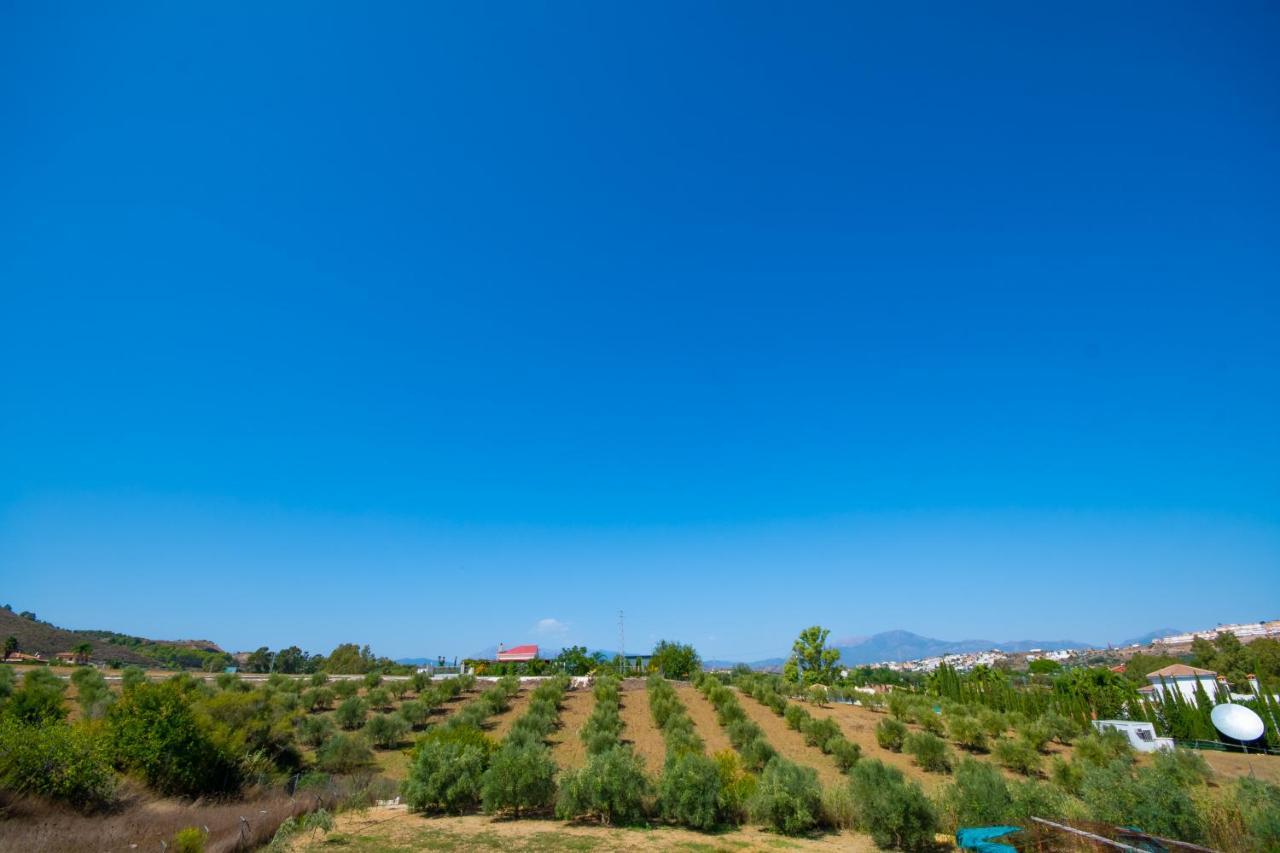 Cubo'S Finca Mis Seis Soles Coín エクステリア 写真